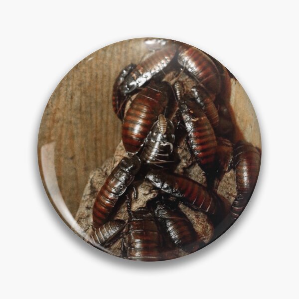 Item preview, Cockroaches designed and sold by BritishYank.