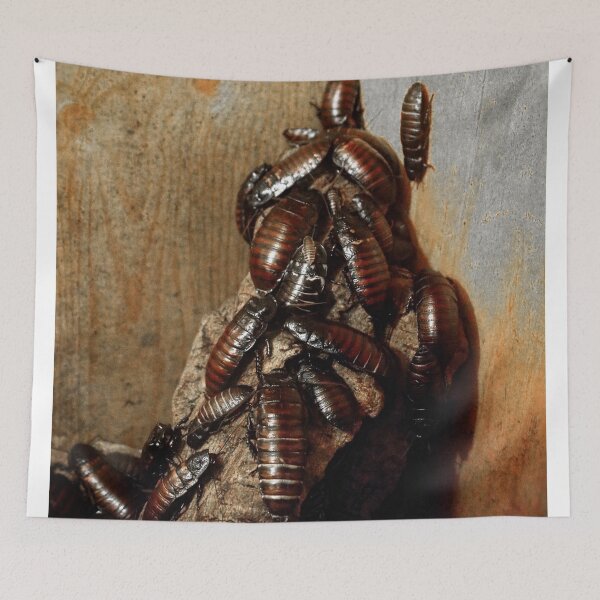 Item preview, Cockroaches designed and sold by BritishYank.