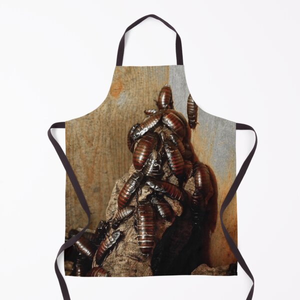 Item preview, Cockroaches designed and sold by BritishYank.