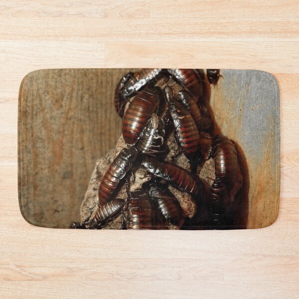 Item preview, Cockroaches designed and sold by BritishYank.