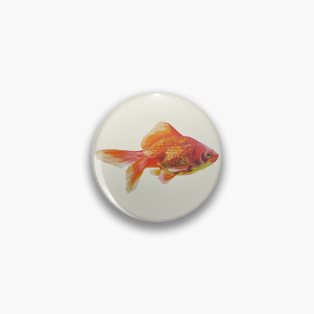 Goldfish painting - no background Pin