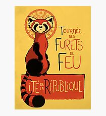 Les Furets de Feu Photographic Print