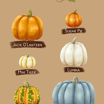 Artwork thumbnail, Types Of Pumpkins by ElectricFangs