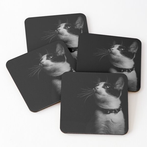 Item preview, Black Cat | Kitten Love designed and sold by Jessi Review.