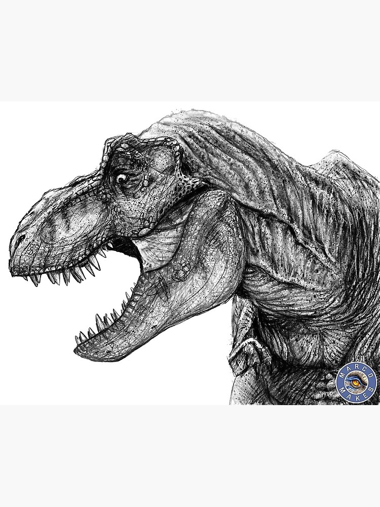 Tarjetas de felicitación «Dibujo de dinosaurio T REX» de MarcoMakes |  Redbubble