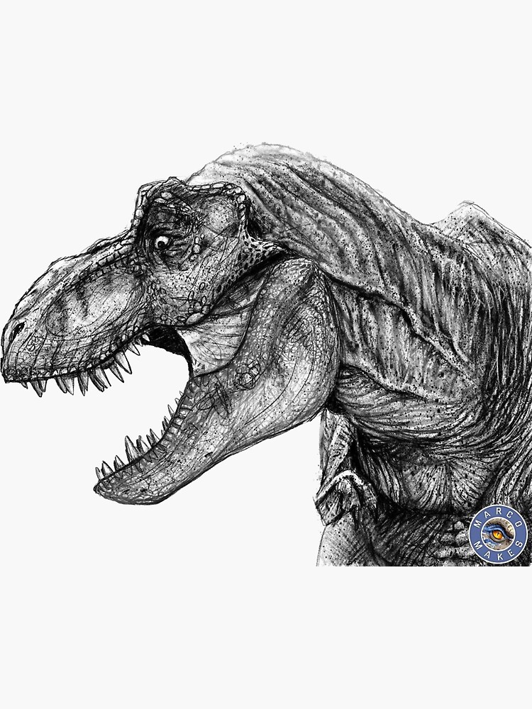 Pin by Nhàn Trương on Dinosaur | T-rex drawing, Dinosaur drawing, Dinosaur  sketch