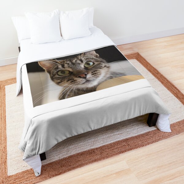 Here's Looking at You Kit Comforter