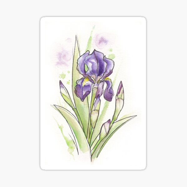 Iris Sticker