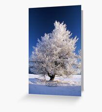 Frozen tree Greeting Card