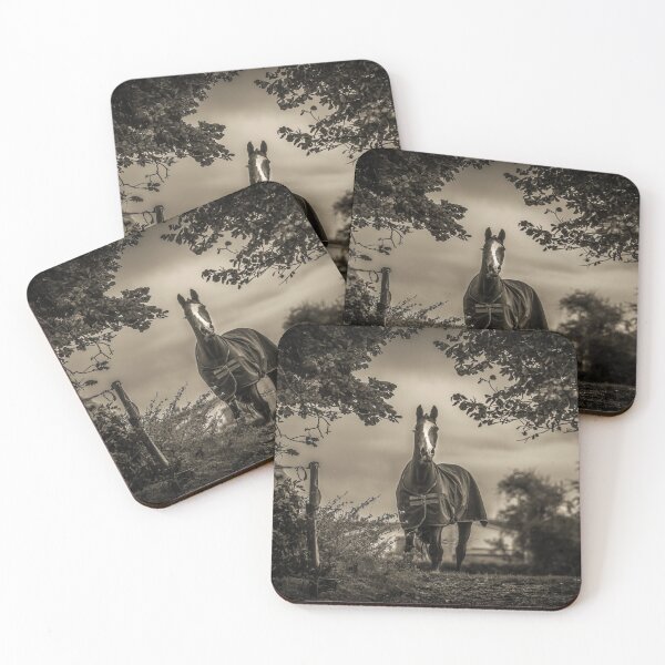 Item preview, Barnie x designed and sold by PhotographMassa.