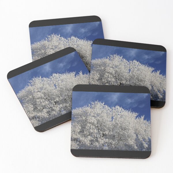 Item preview, Frost in the Big Tree Winter scene With Blue Sky designed and sold by CharWilcox.