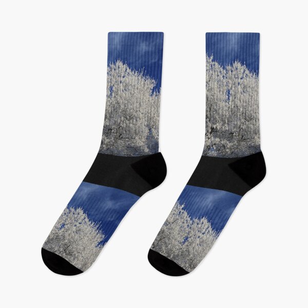 Item preview, Frost in the Big Tree Winter scene With Blue Sky designed and sold by CharWilcox.