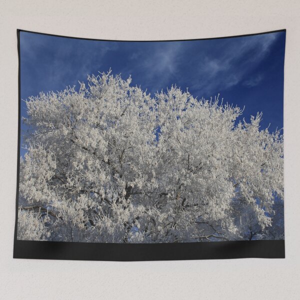 Item preview, Frost in the Big Tree Winter scene With Blue Sky designed and sold by CharWilcox.