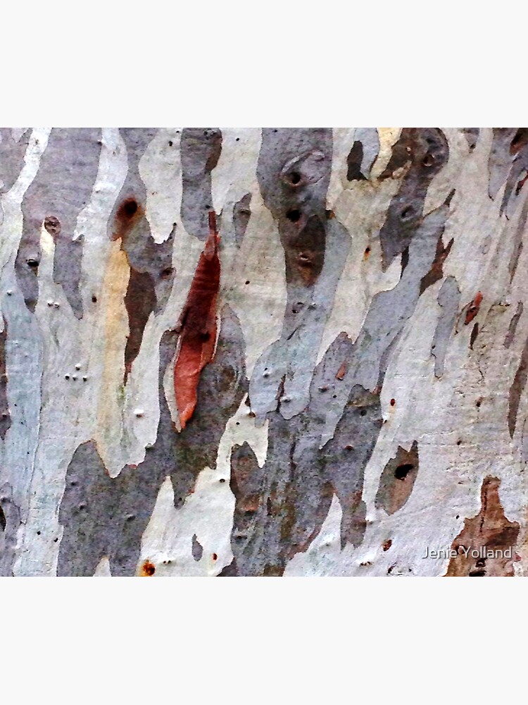 Eucalyptus Bark by JenieYolland