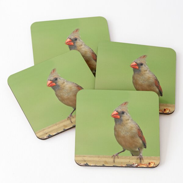 Item preview, Pretty Lady designed and sold by JohnDSmith.