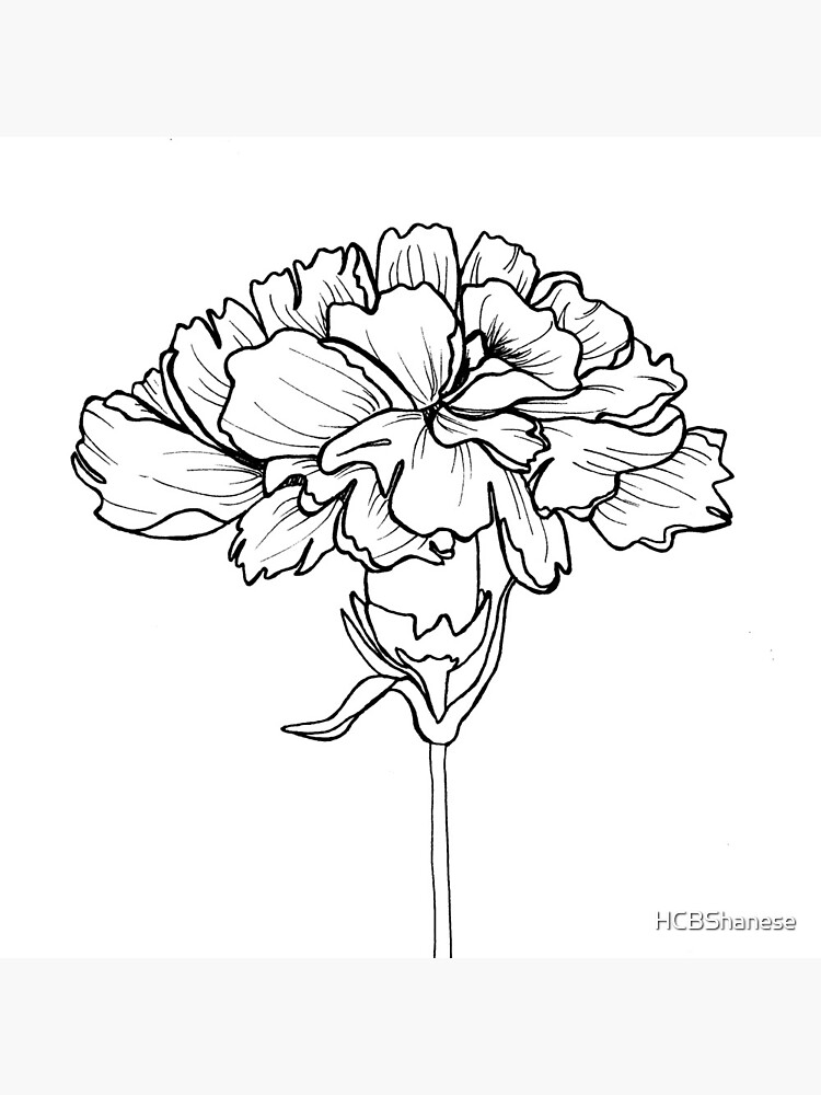 Carnation Outline Images – Browse 1,976 Stock Photos, Vectors, and Video |  Adobe Stock