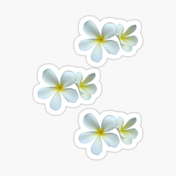 Item preview, Frangipani - White and Yellow designed and sold by STHogan.