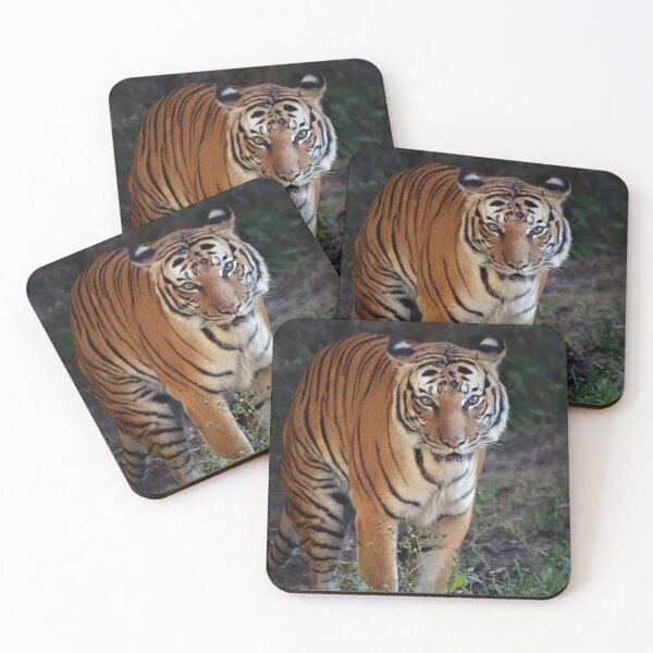 Item preview, Tiger designed and sold by Savannah Gibbs.