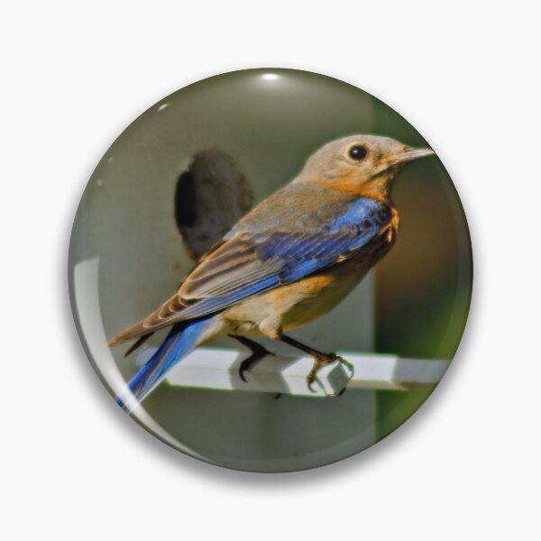 Item preview, Lovely Lady designed and sold by JohnDSmith.