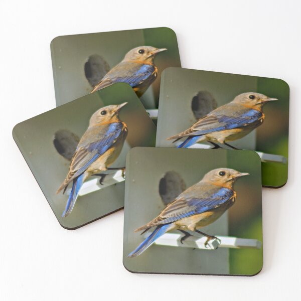 Item preview, Lovely Lady designed and sold by JohnDSmith.