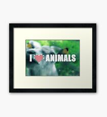 I love animals. Goat blurred photo. Framed Print