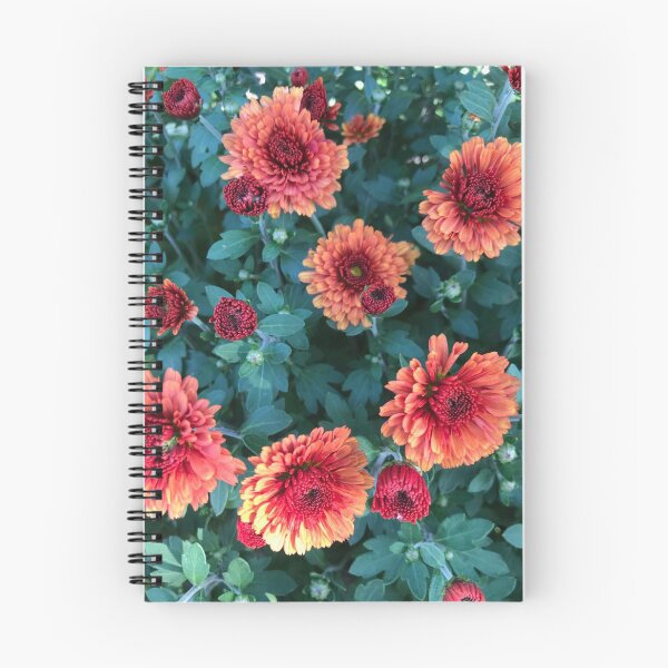 Artikelvorschau, China Aster Blume entworfen und verkauft von Naomiblaine.