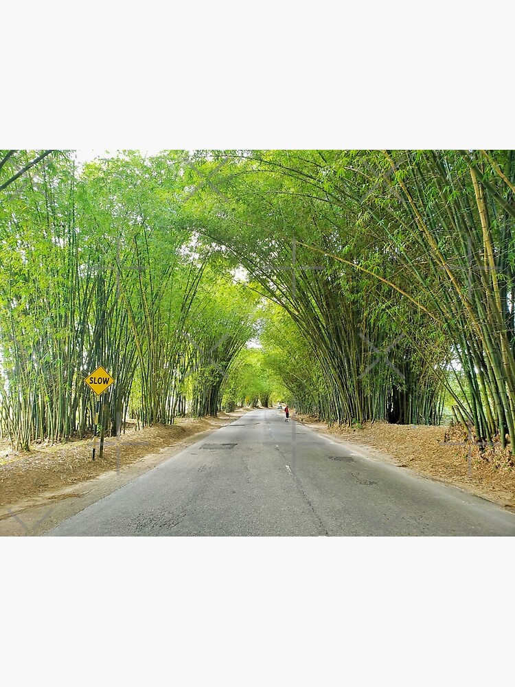 "Holland Bamboo Jamaica" Poster by SimpleFabTrends Redbubble