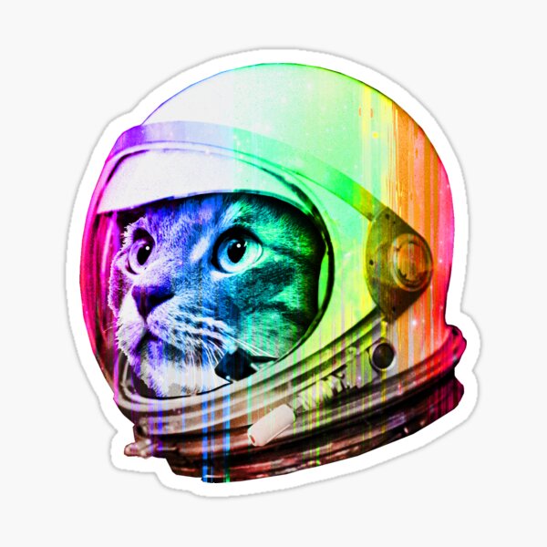 Galaxy Cat Pizza DJ Sticker Space Cat Sticker Funny Sticker 
