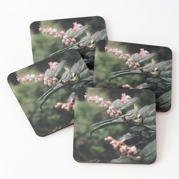 Item preview, pink flowering greenery  designed and sold by LifeAsGeneration Z.