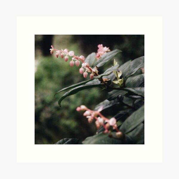 Item preview, pink flowering greenery  designed and sold by LifeAsGeneration Z.