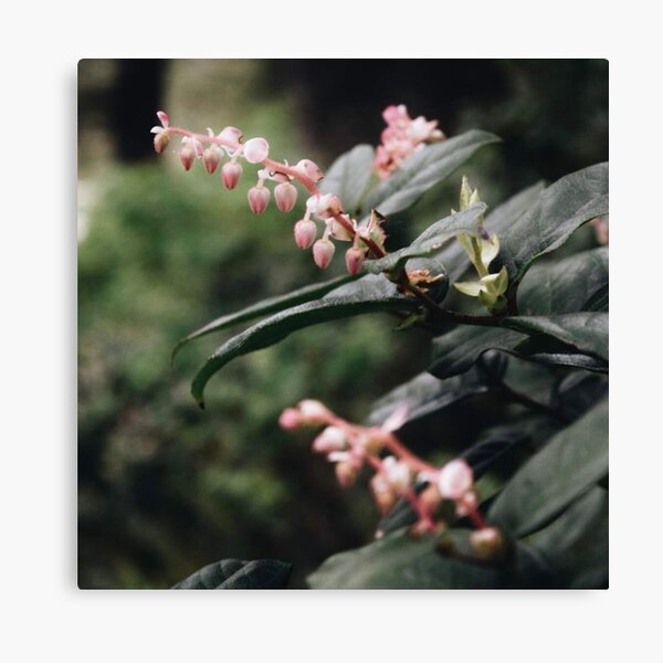 Item preview, pink flowering greenery  designed and sold by LifeAsGeneration Z.