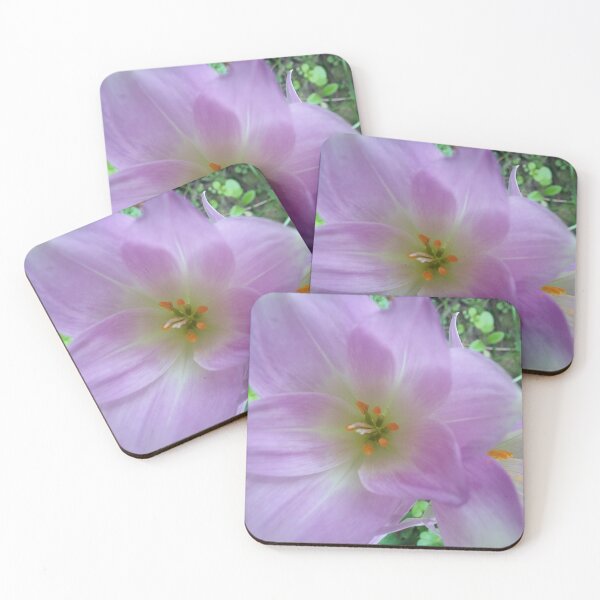 Item preview, Fall Crocus designed and sold by edwardtiptonart.