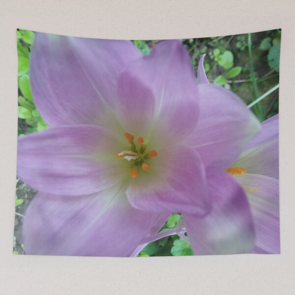 Item preview, Fall Crocus designed and sold by edwardtiptonart.
