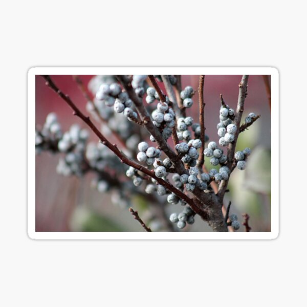 Item preview, Bayberries  designed and sold by Linda Crockett.
