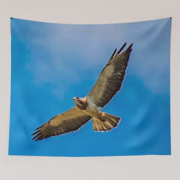 Item preview, Hawk Flying designed and sold by LisaMPierce1990.