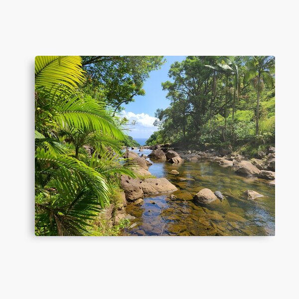 Item preview, Hawaii stream to ocean designed and sold by ApauHawaiiTours.
