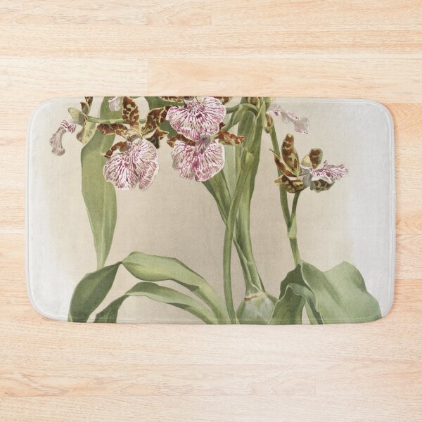 Item preview, Reichenbachia: Orchids Illustrated and Described designed and sold by EsotericBotanic.