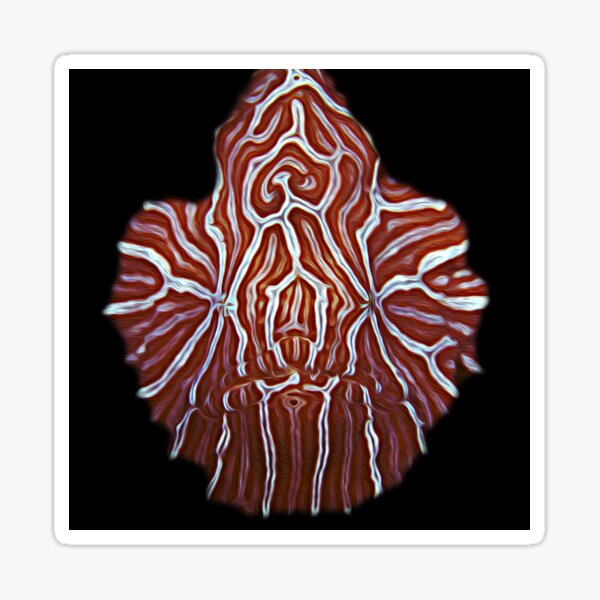 Ambon Psychedelic Frogfish Sticker
