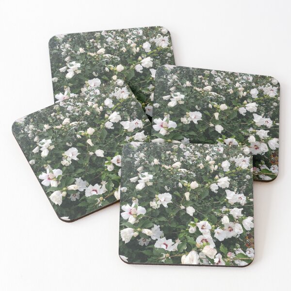 Item preview, White Flowers  designed and sold by mkwirfs1994.