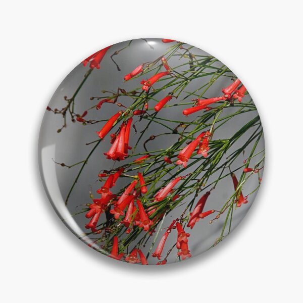Item preview, Delicate Red designed and sold by Marylou Badeaux.