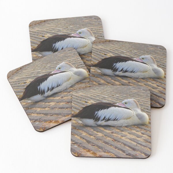 Item preview, Pelican at Rest! designed and sold by Mickangelhere.