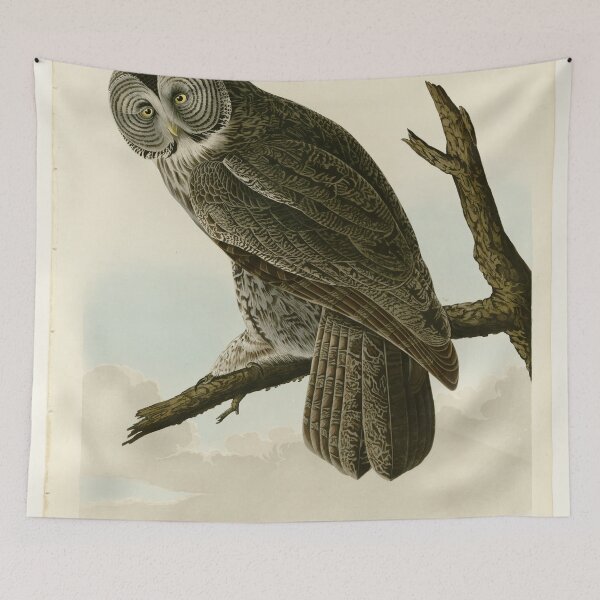 Item preview, 351 Great Cinereous Owl designed and sold by Bird-Lore.
