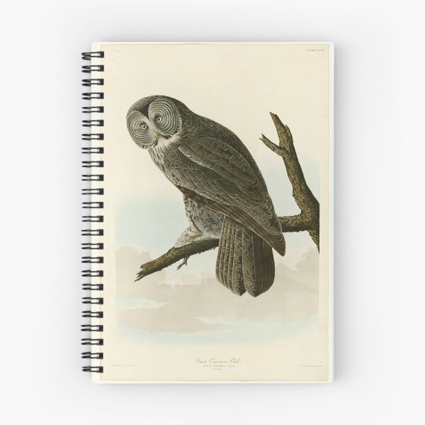 Item preview, 351 Great Cinereous Owl designed and sold by Bird-Lore.