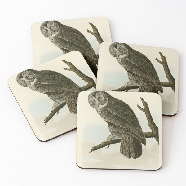 Item preview, 351 Great Cinereous Owl designed and sold by Bird-Lore.