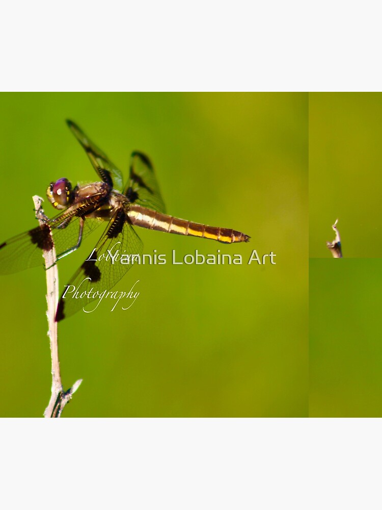 Dragonfly of the enchanted forest by Yannis Lobaina by lobaina1979