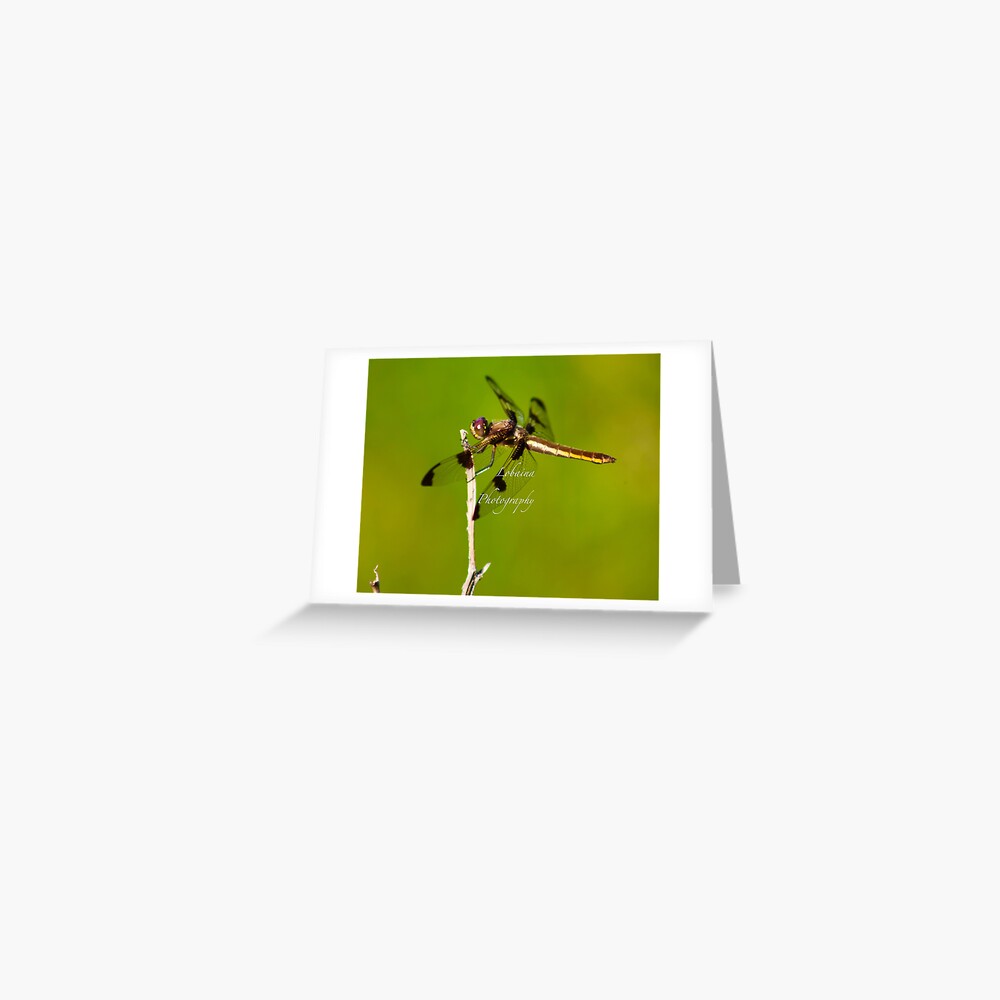 Dragonfly of the enchanted forest by Yannis Lobaina Greeting Card