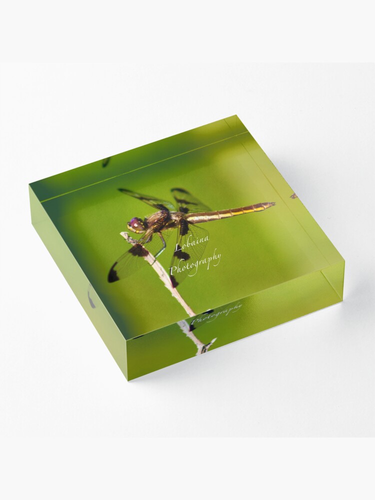 Alternate view of Dragonfly of the enchanted forest by Yannis Lobaina Acrylic Block