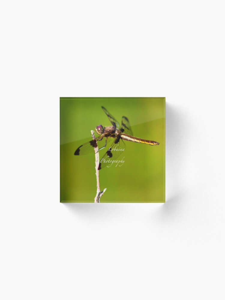 Alternate view of Dragonfly of the enchanted forest by Yannis Lobaina Acrylic Block