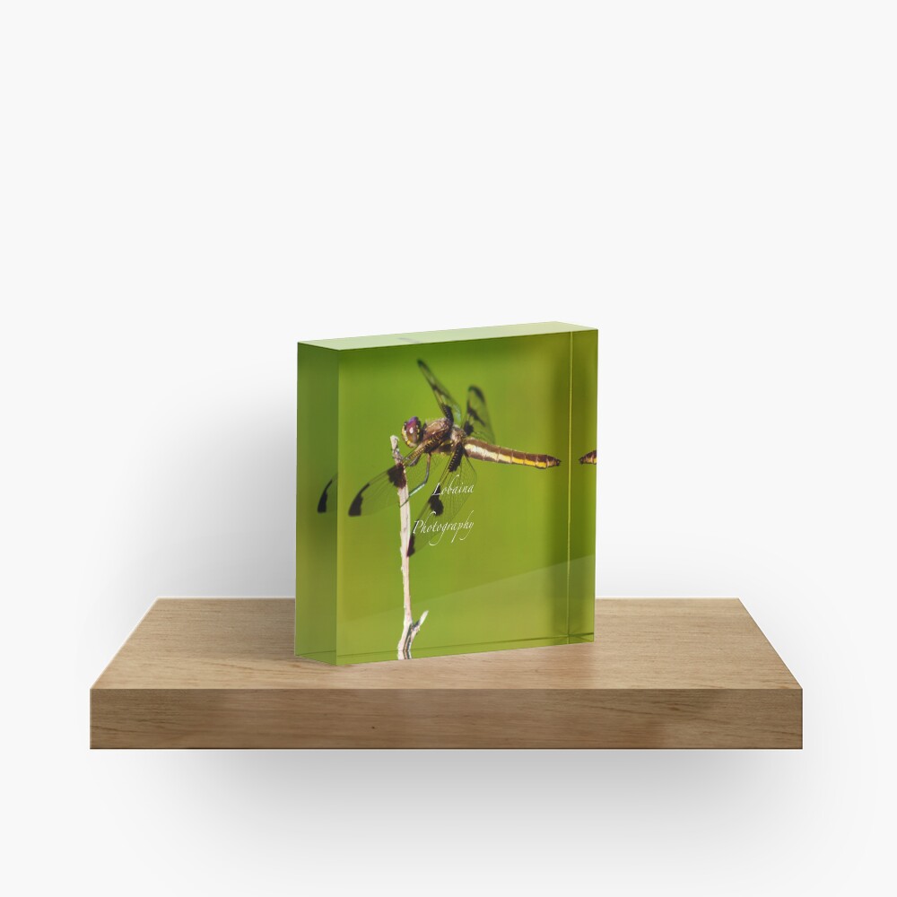 Dragonfly of the enchanted forest by Yannis Lobaina Acrylic Block