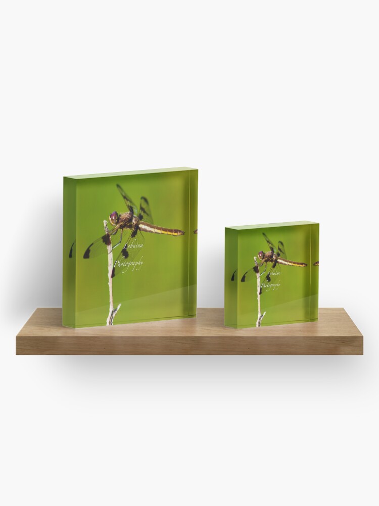 Alternate view of Dragonfly of the enchanted forest by Yannis Lobaina Acrylic Block